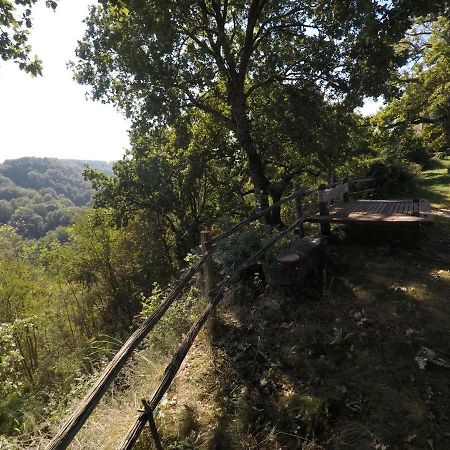 The Nest Villa Orvieto Exterior photo