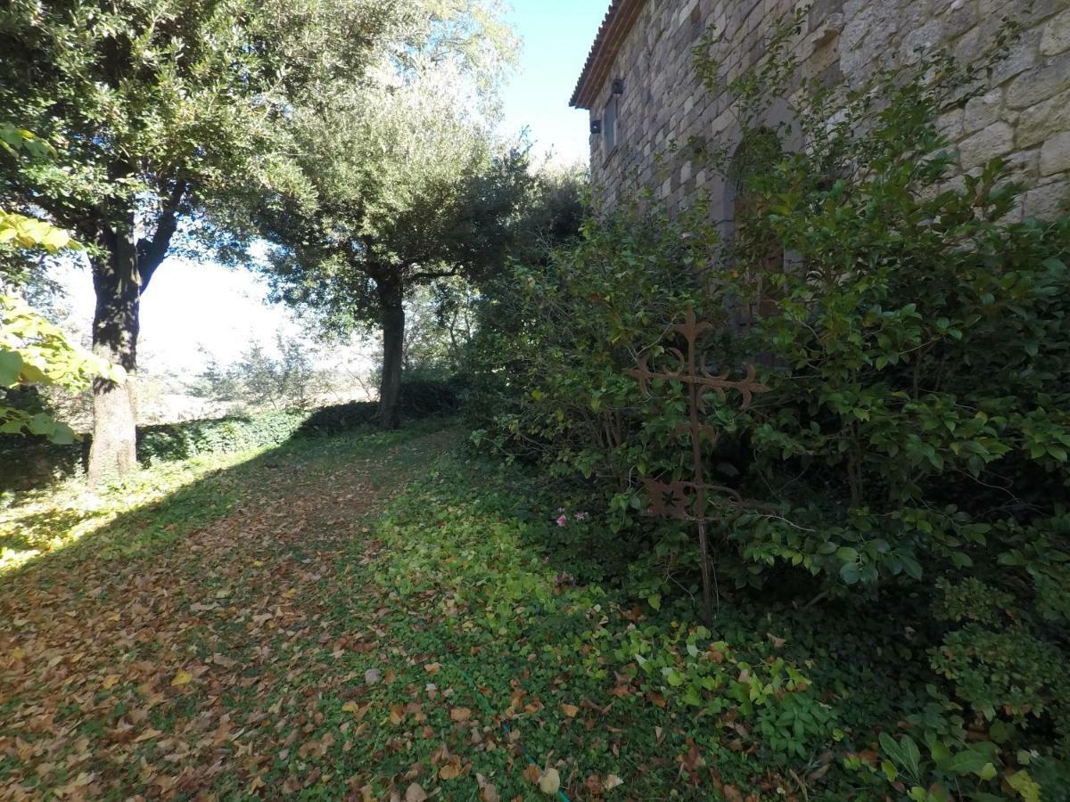 The Nest Villa Orvieto Exterior photo