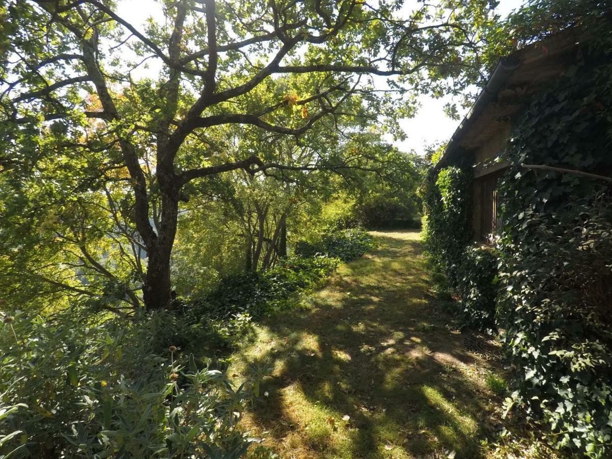 The Nest Villa Orvieto Exterior photo