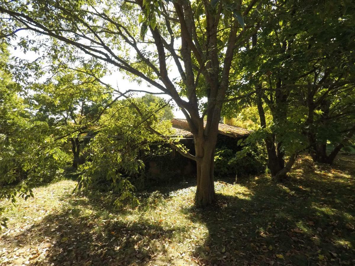 The Nest Villa Orvieto Exterior photo